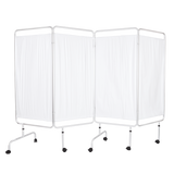 Privacy Screens