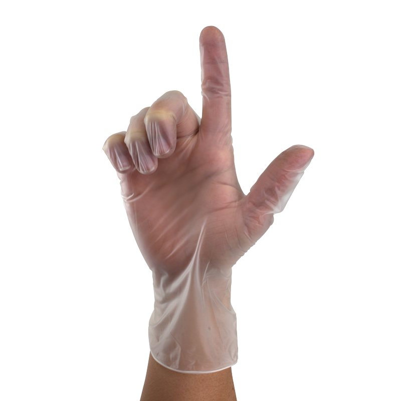 Vinyl Gloves in a Bag, Powder-Free