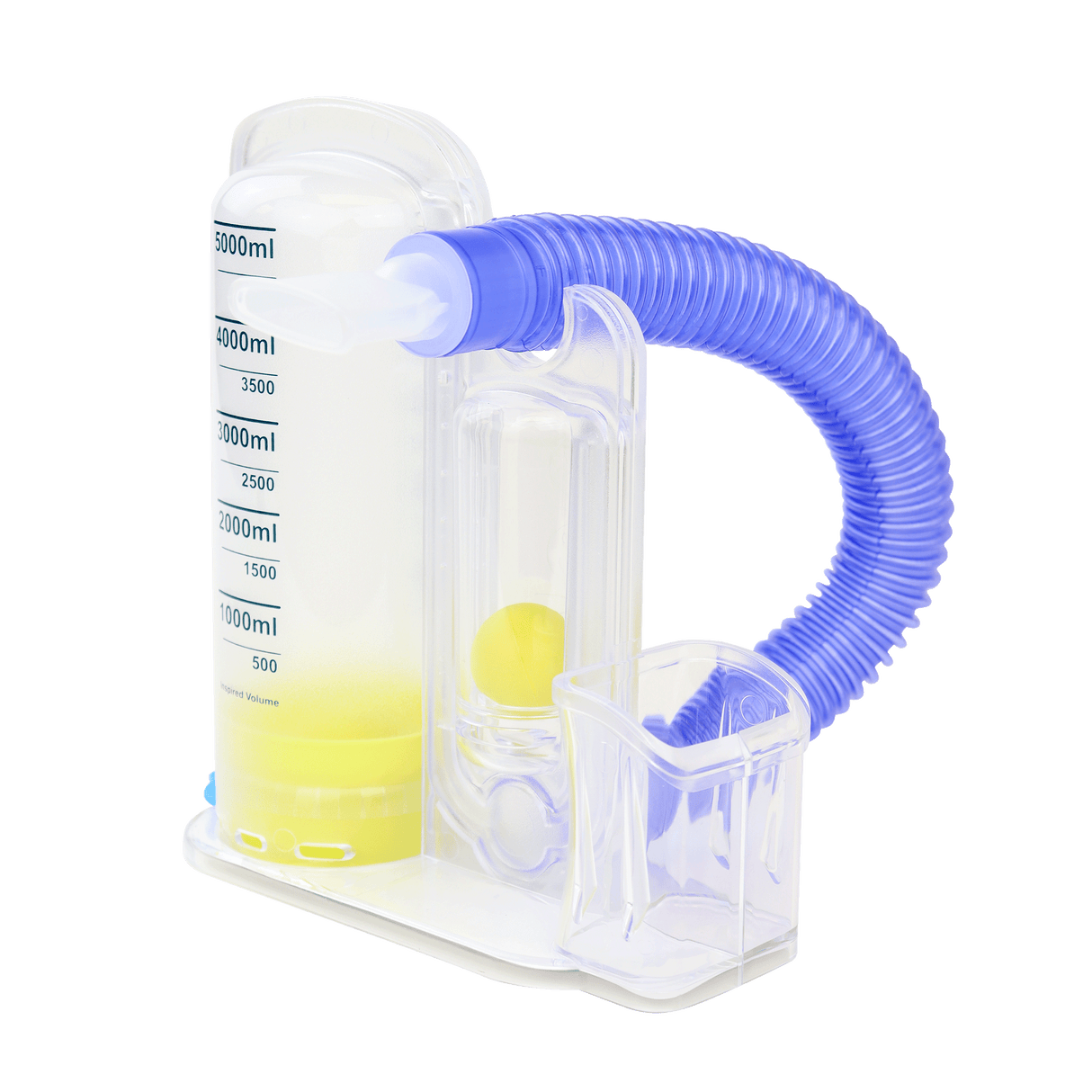 Pulmonary Function Measurement
