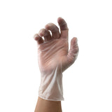 Safe-Touch Vinyl Exam Gloves, Powder-Free